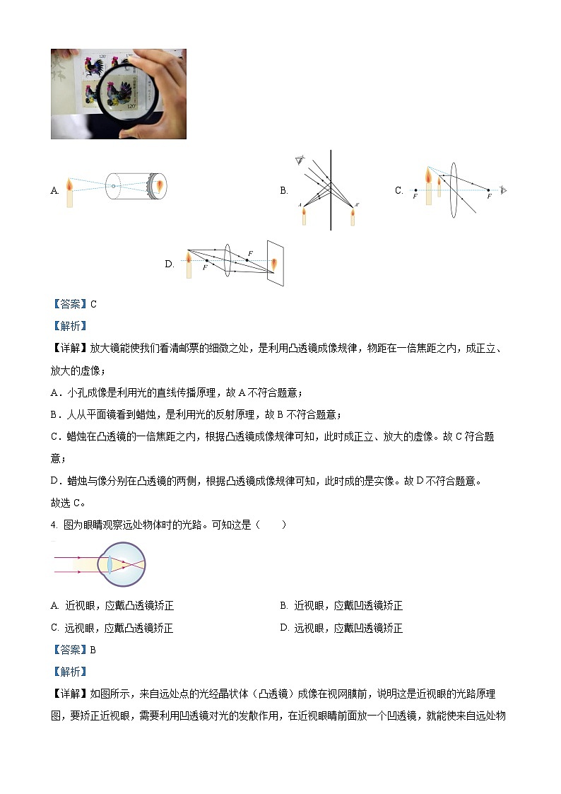 2023年湖南省株洲市中考物理试题(解析版)第2页