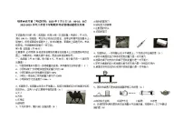 四川省自贡市2022-2023学年八年级下学期期末考试物理试题(含答案)