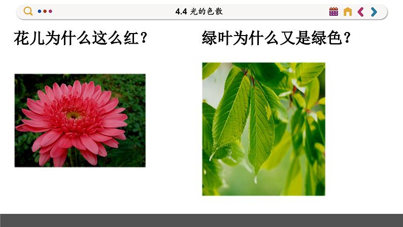 沪科版物理八年级4.4 光的色散(课件PPT)06