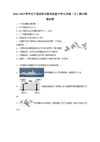 辽宁省沈阳市新民实验中学2022-2023学年九年级下学期期中物理试卷