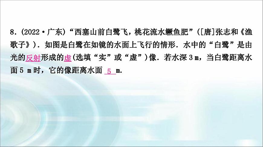 中考物理復(fù)習(xí)第2講光現(xiàn)象作業(yè)課件第8頁(yè)