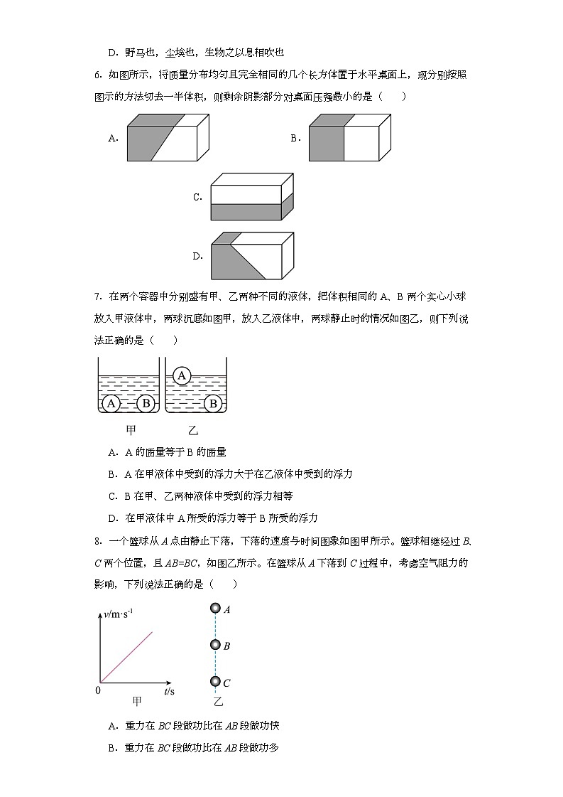 2023年山东省青岛市莱西市中考一模物理试题(含解析)02