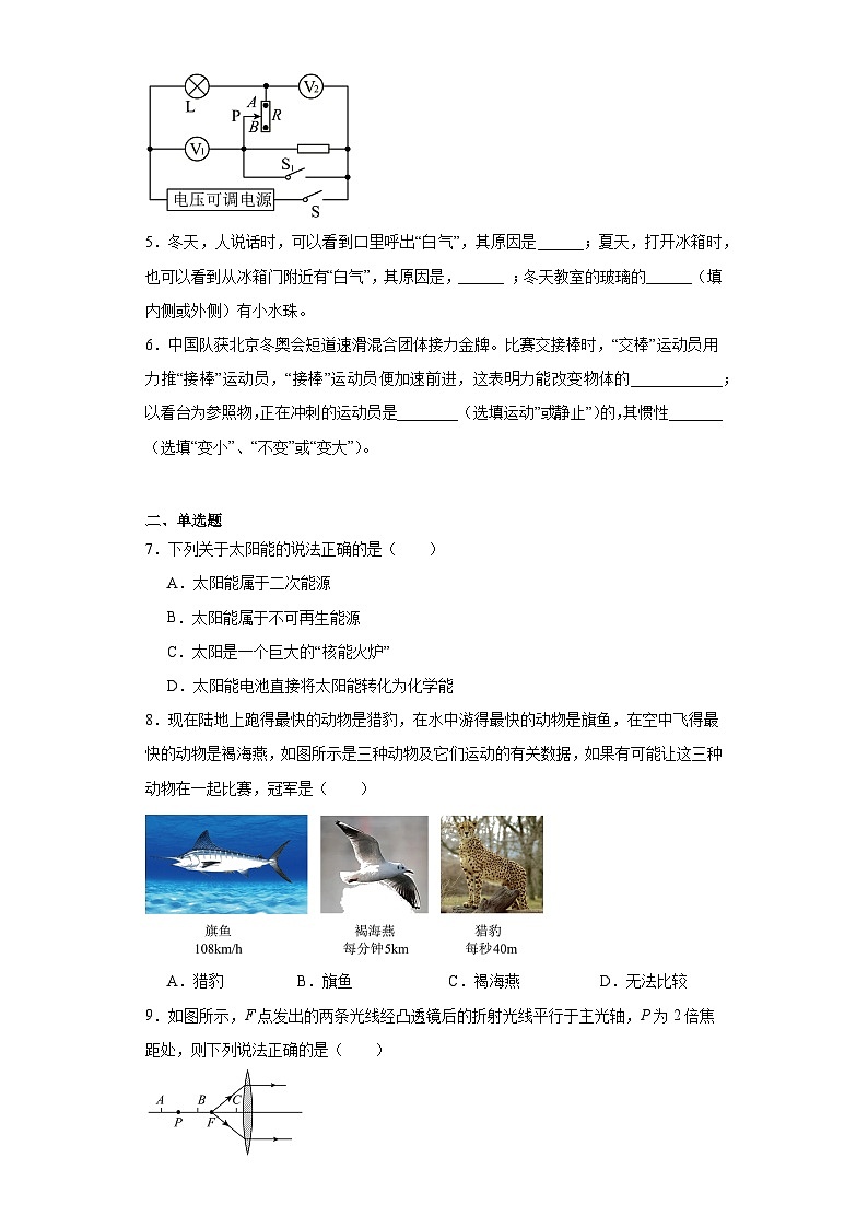 2023年河南省平顶山市石龙区东片七校联盟中考物理模拟试题(含解析)02