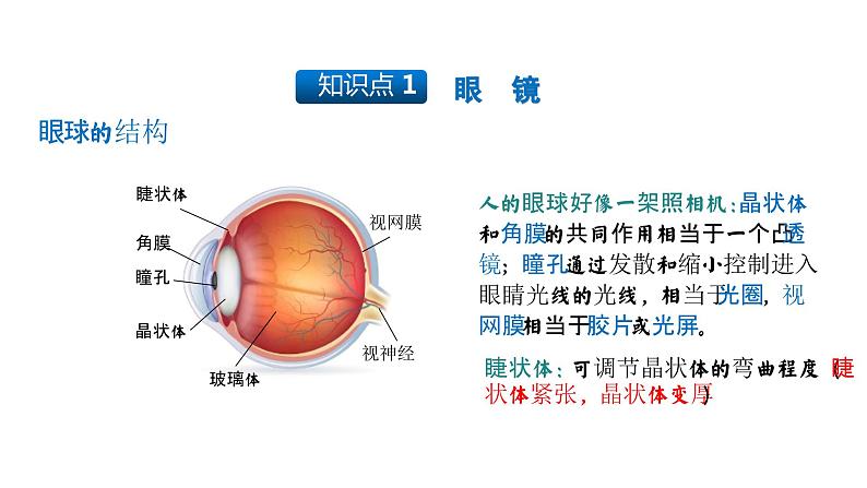 【精优课堂】第5.4课 眼睛和眼镜(课件)-2022-2023学年物理八年级上册同步备课(人教版)04