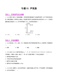 2023年中考物理真题分类汇编——专题01 声现象（全国通用）