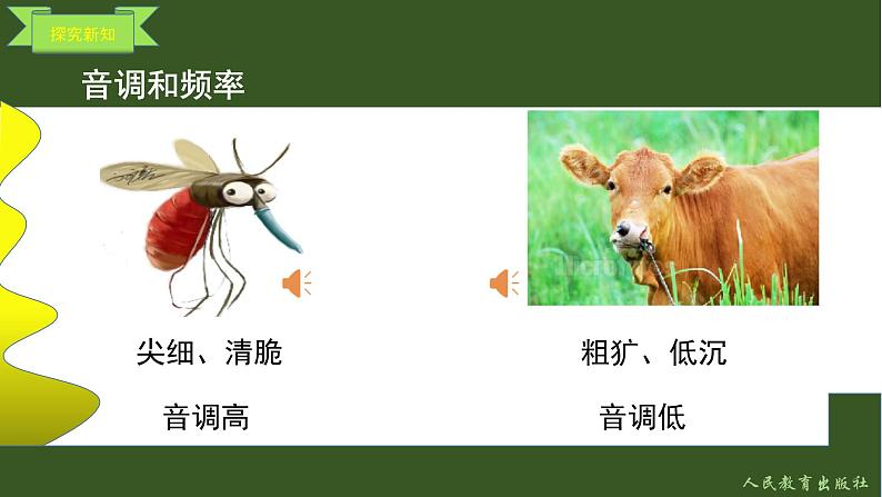 声音的特性第6页
