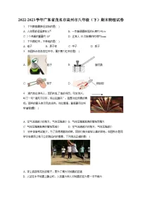 广东省茂名市高州市2022-2023学年八年级下学期末物理试卷（含答案）