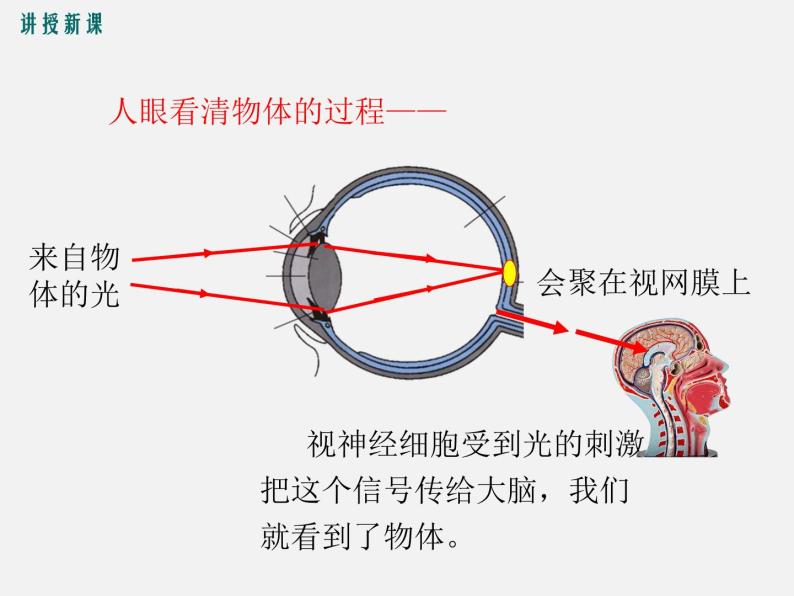 第4节  眼睛和眼镜 -2023-2024学年八年级上册物理同步备课课件（人教版）06