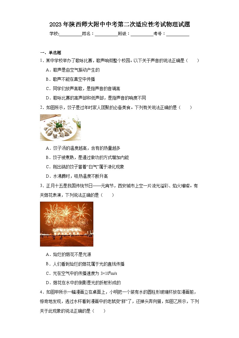 2023年陕西师大附中中考第二次适应性考试物理试题(含解析)第1页