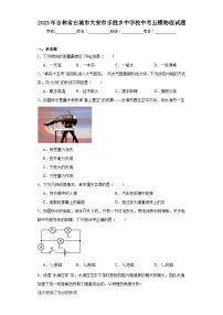 2023年吉林省白城市大安市樂勝鄉(xiāng)中學(xué)校中考五模物理試題（含解析）