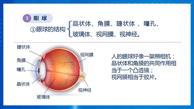 人教版八上物理 5.4 眼睛和眼镜 课件+内嵌式视频+练习（原卷版+解析版）08