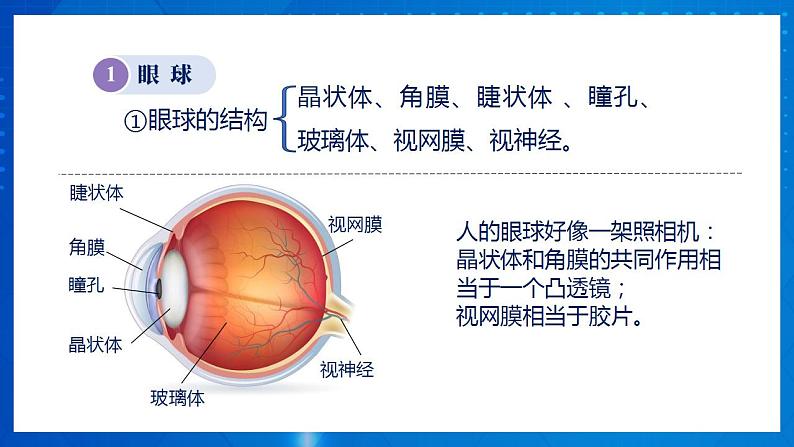 人教版八上物理 5.4 眼睛和眼镜 课件+内嵌式视频+练习(原卷版+解析版)08