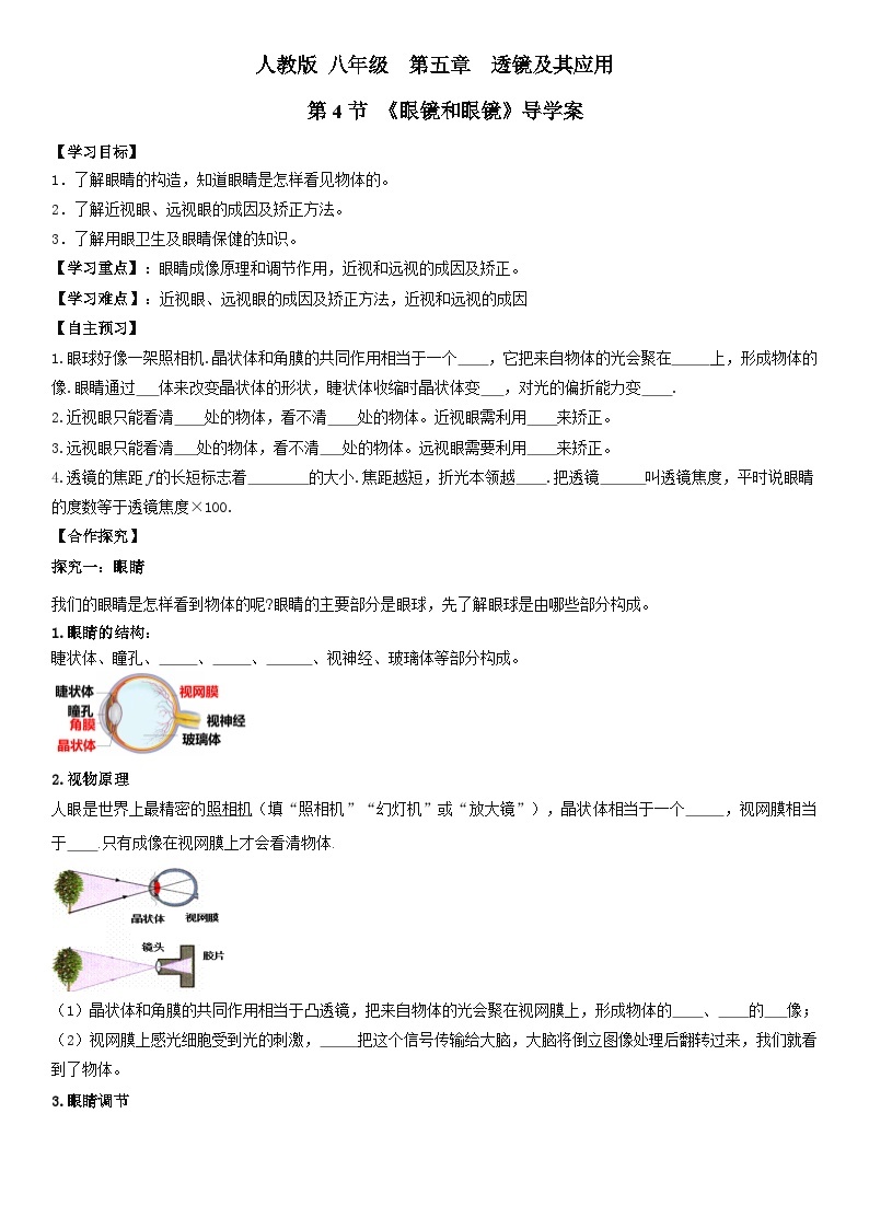 人教物理八上 5.4眼睛和眼镜 导学案 原卷+解析卷01