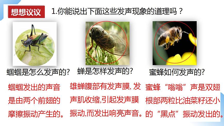 人教物理八上 2.1 聲音的產(chǎn)生和傳播 課件PPT第8頁