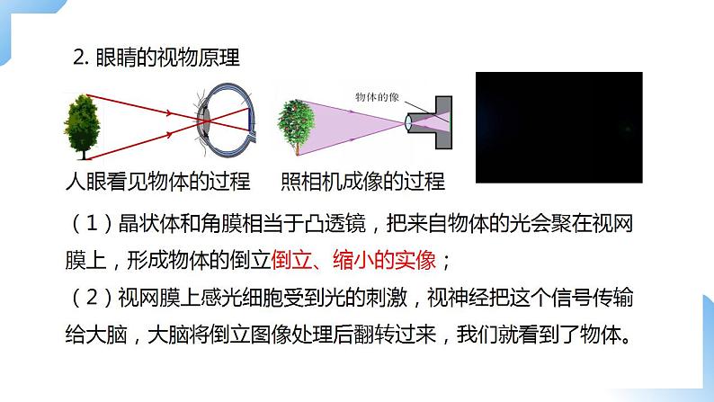 人教物理八上 5.4 眼睛和眼镜 课件+教案+导学案+练习+素材04