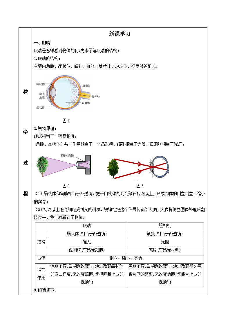 人教物理八上 5.4 眼睛和眼镜 课件+教案+导学案+练习+素材02