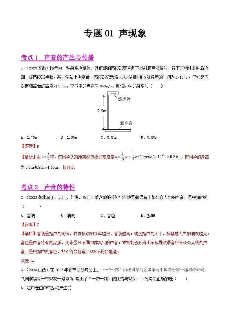 2023年中考物理真题分类汇编-专题01 声现象01