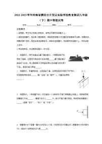 2022-2023学年河南省濮阳市开发区实验学校教育集团九年级（下）期中物理试卷（含解析）