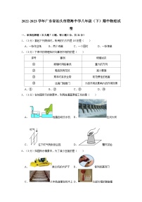 2022-2023学年广东省汕头市澄海中学八年级下学期期中物理试卷（含解析）