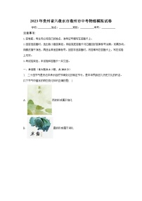 2023年贵州省六盘水市盘州市中考物理模拟试卷（含解析）