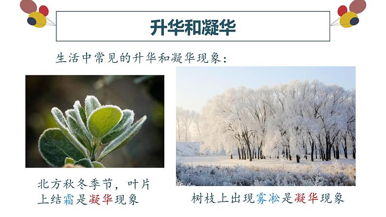 精心制作课件 升华和凝华第7页