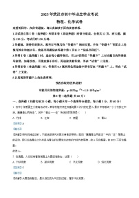 2023年湖北省武汉市中考物理试题（含解析）