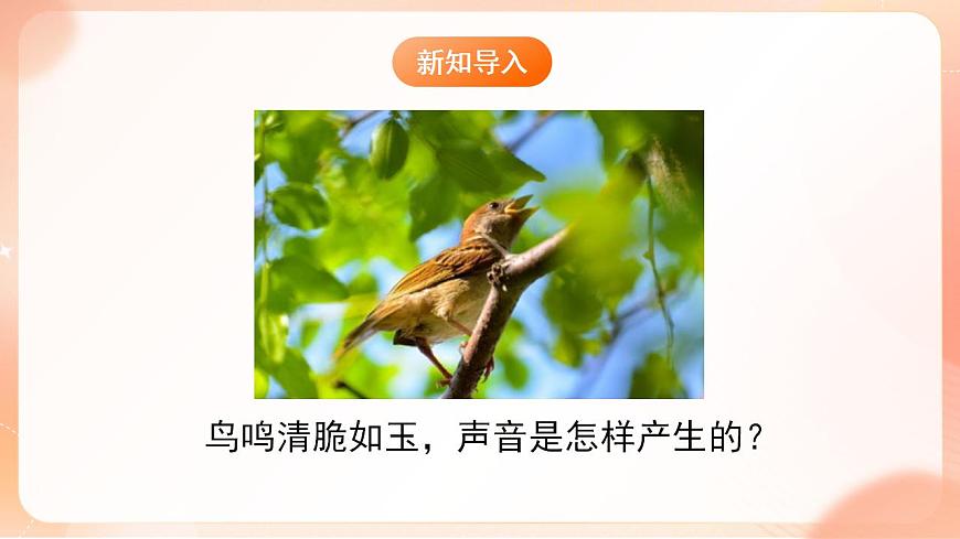 【核心素養(yǎng)】人教版物理八年級(jí)上冊(cè)      2.1《  聲音的產(chǎn)生與傳播》課件第5頁(yè)