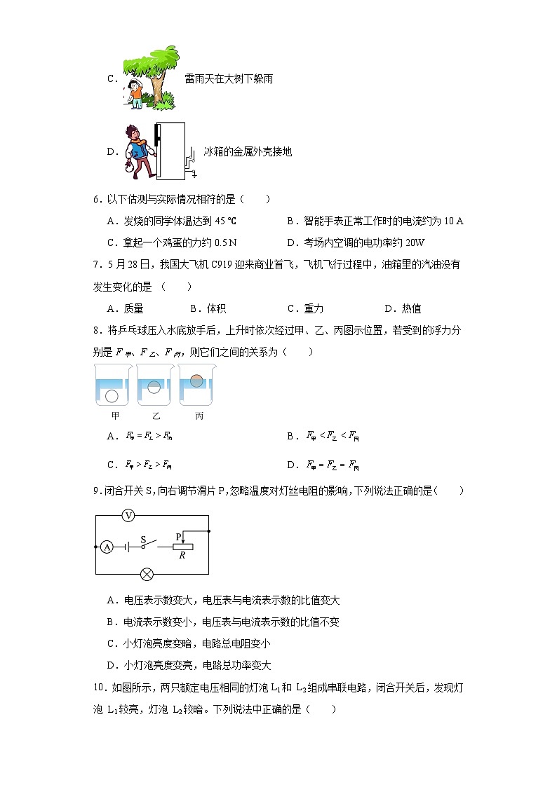 2023年福建省漳州市中考物理模拟试题(三)(含解析)第2页