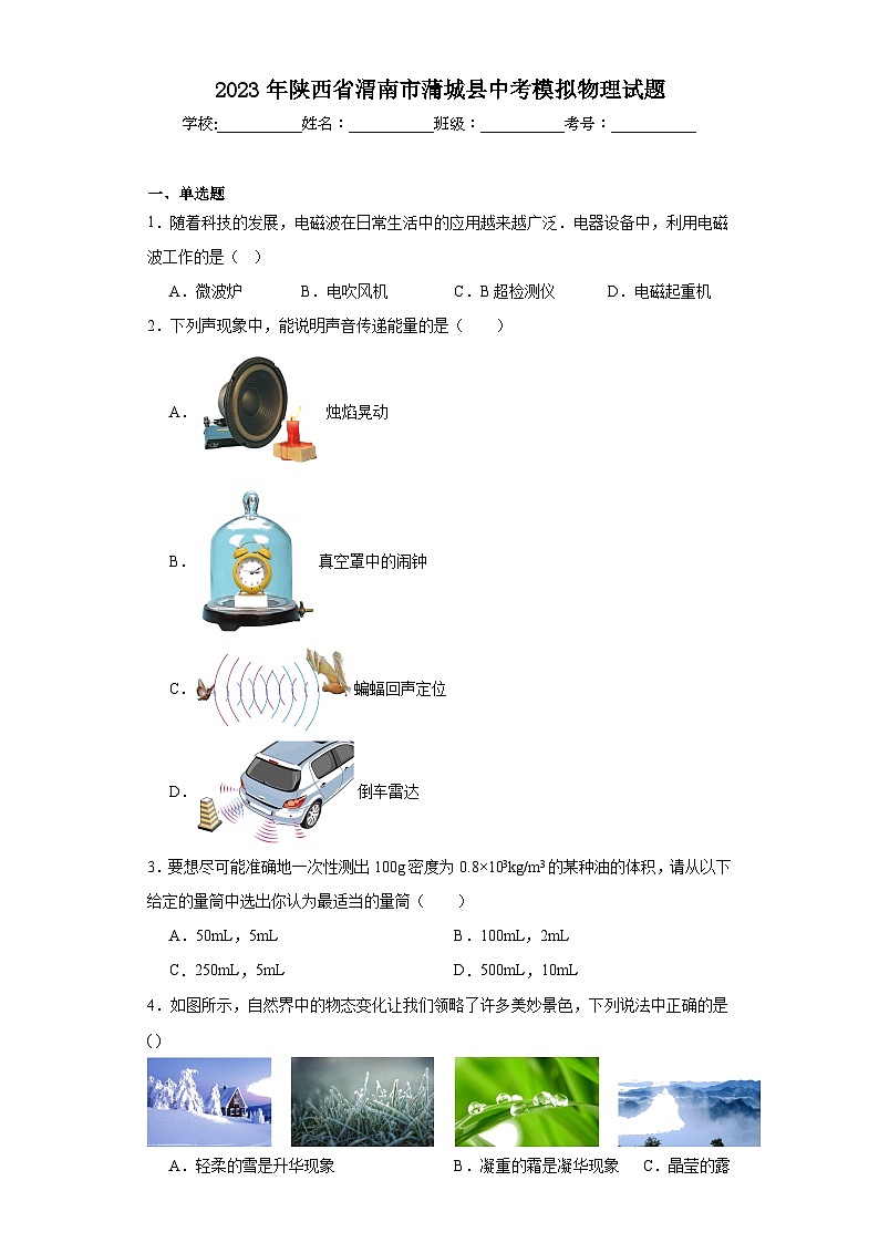 2023年陕西省渭南市蒲城县中考模拟物理试题(含解析)第1页