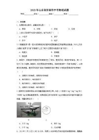 2023年山东省济南市中考物理试题(含解析)