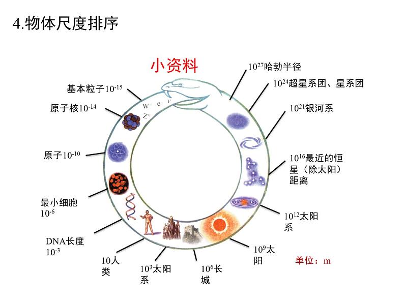 中考物理一轮复习课件----机械运动第5页