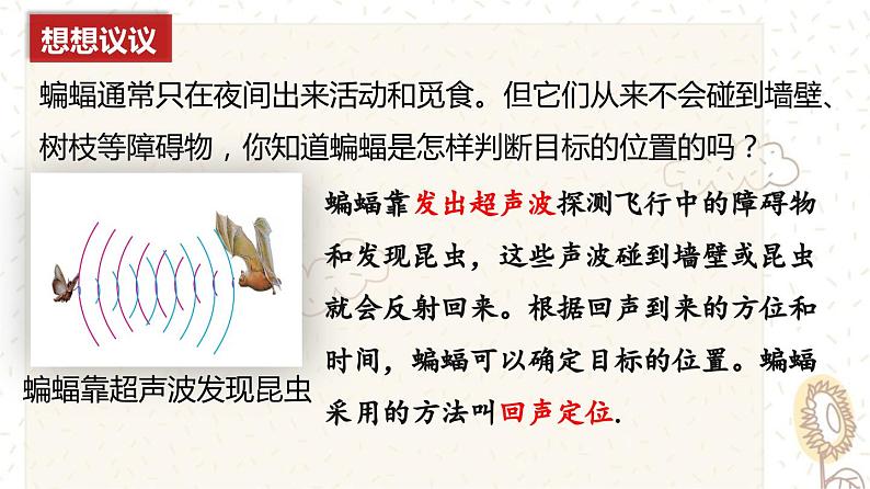 2.3 声的利用(课件)第5页