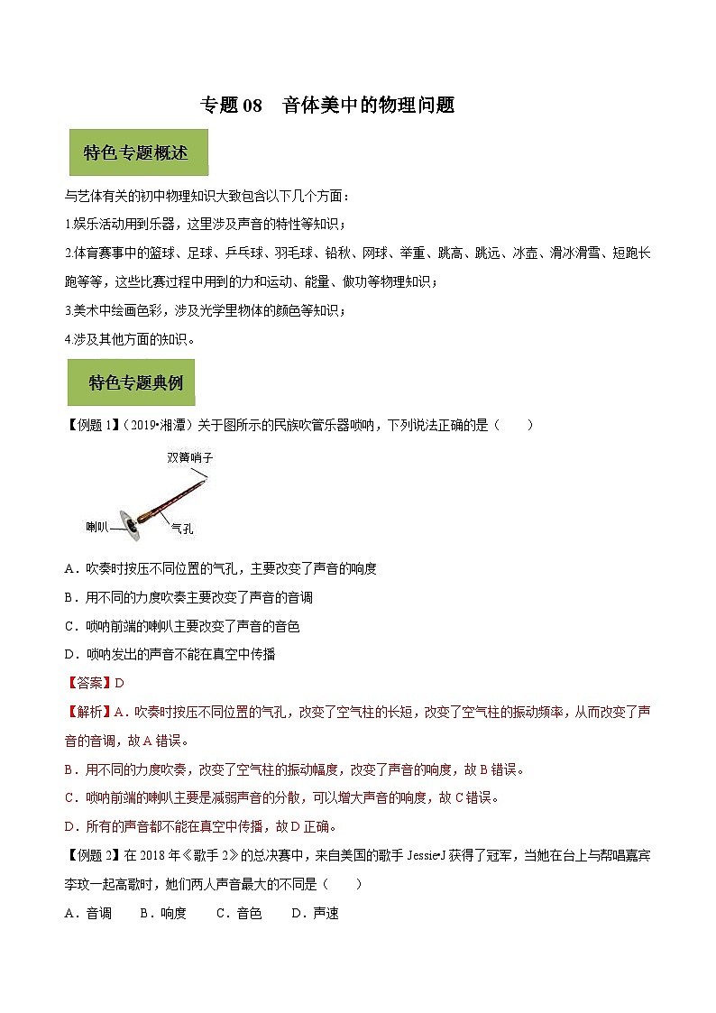 中考物理二轮复习核心考点复习专题08 音体美中的物理问题(含解析)第1页