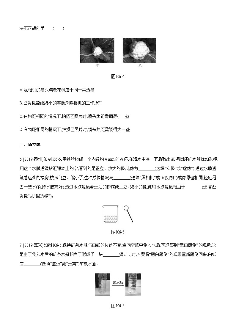中考物理一轮复习课时突破训练06 透镜及其应用 (含解析)第3页