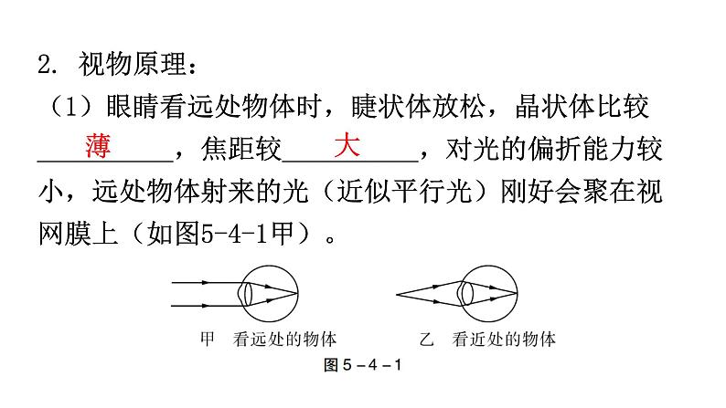 人教版八年级物理上册第五章第4节眼睛和眼镜教学课件第5页