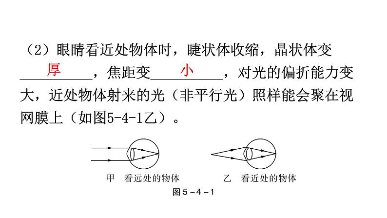 人教版八年级物理上册第五章第4节眼睛和眼镜教学课件第6页