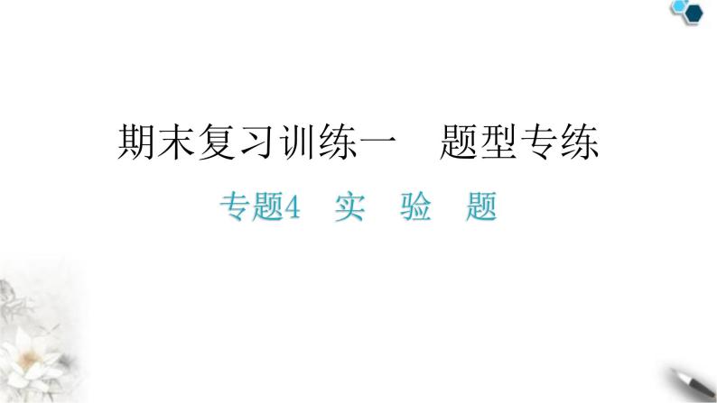 人教版八年级物理上册期末复习专题4实验题教学课件01