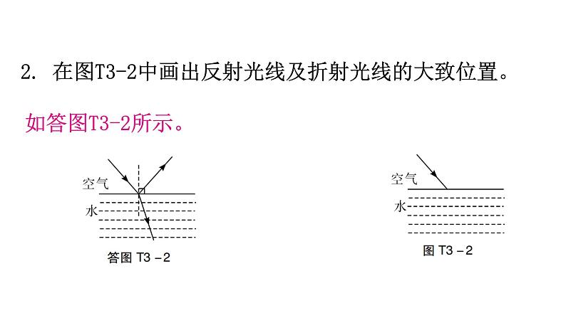 粤教沪科版八年级上册物理期末复习专题三作图题课件第3页
