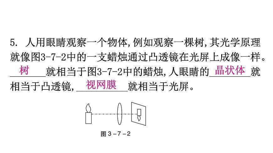 粵教滬科版八年級上冊物理第三章3-7眼睛與光學(xué)儀器教學(xué)課件第7頁