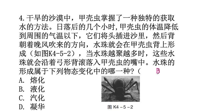 粤教沪科版八年级上册物理第四章物质的形态及其变化4-5水循环与水资源分层作业课件第6页