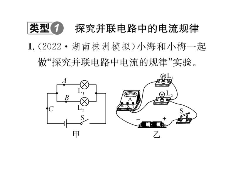 人教版九年级物理专项复习（8）电学探究性实验课时训练ppt02