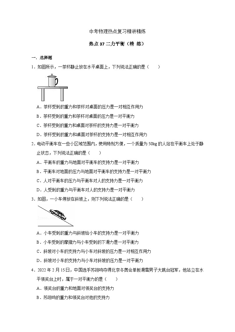 备考2024年中考物理重难点精讲精练:73-热点37 二力平衡(精练)01
