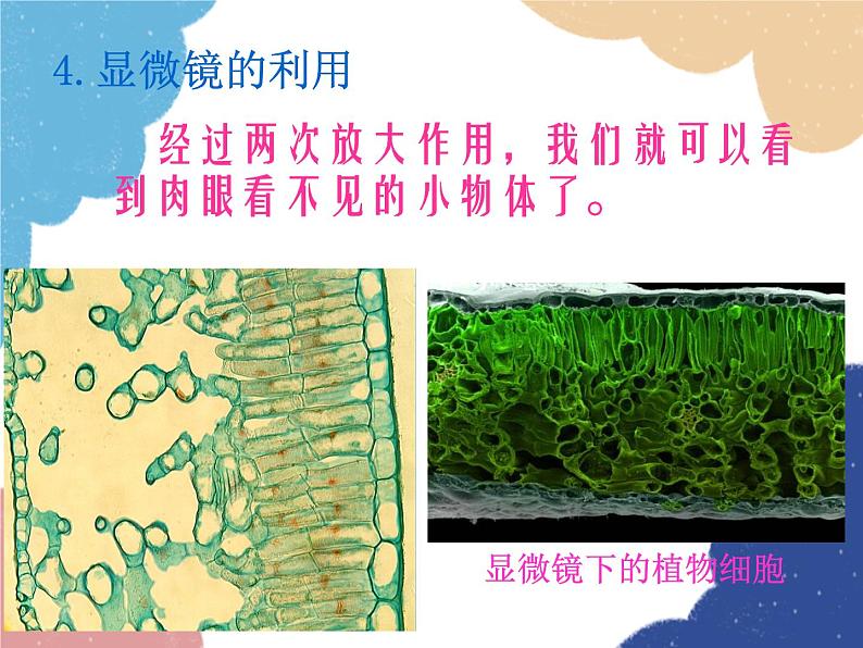 人教版八年级物理上册-5.5 显微镜和望远镜(课件+教案+学案+练习)07