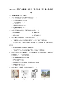 广东省湛江市雷州市第三中学2022-2023学年八年级上学期期中物理试卷