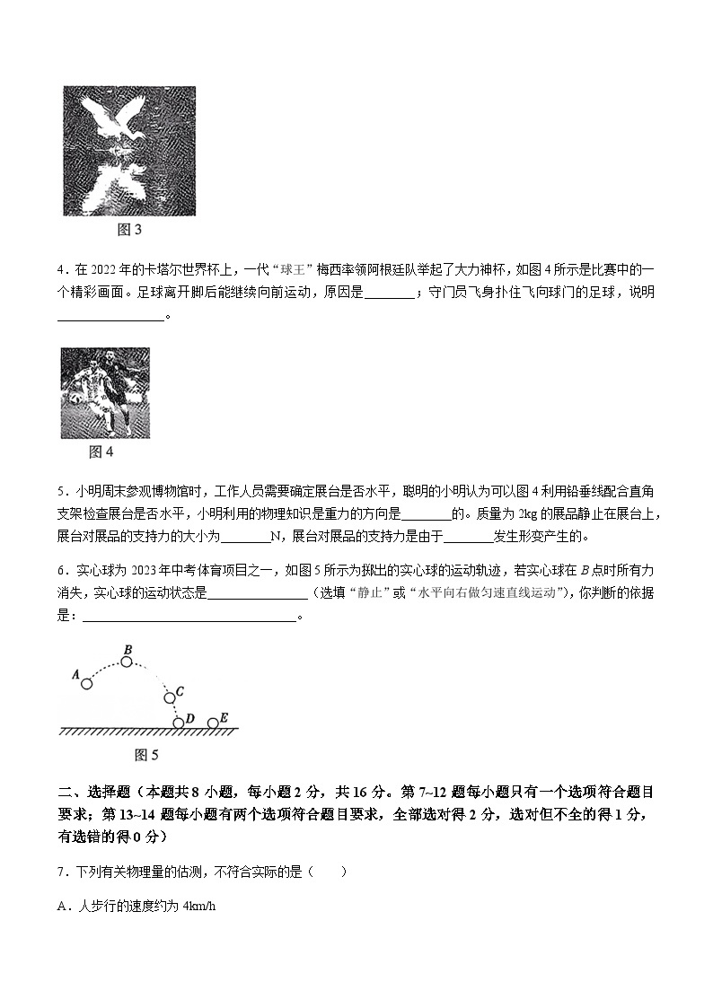 河南省信阳市信钢学校等5校2022-2023学年八年级下学期3月月考物理试题02