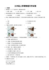 江苏省镇江市2023年九年级上学期物理月考试卷（附答案）
