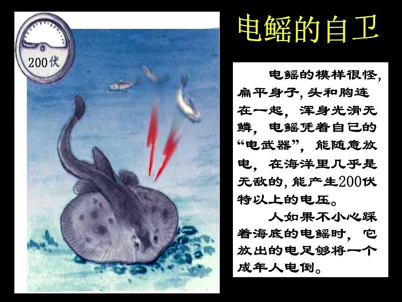 16.1《电压》PPT课件2-九年级物理全一册【人教版】第7页