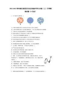 2022-2023学年湖北省武汉市光谷实验中学九年级（上）月考物理试卷（9月份）（附答案详解）