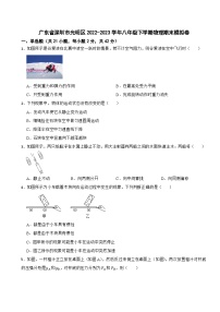 广东省深圳市光明区2022-2023学年八年级下学期物理期末模拟卷