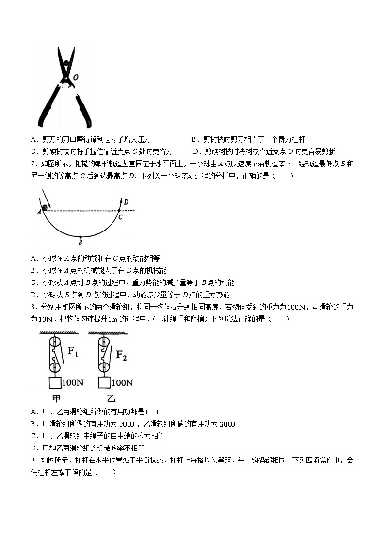 江苏省扬州市梅岭中学2023-2024学年九年级上学期10月月考物理试题(无答案)(月考)第2页